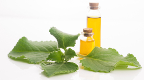Taková domácí aromaterapie